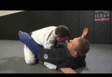 클로즈가드 – 스윕(버터플라이)