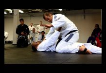 히론 그레이시의 세미나 Part 02 – 크로스 초크 방어