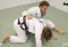 스파이더 가드 – 오모플라타