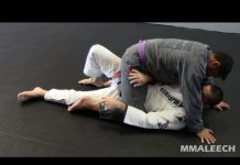 2가지 반드시 알아야할 마운트포지션 탈출!