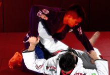 스파이더 가드(The Spider Guard)