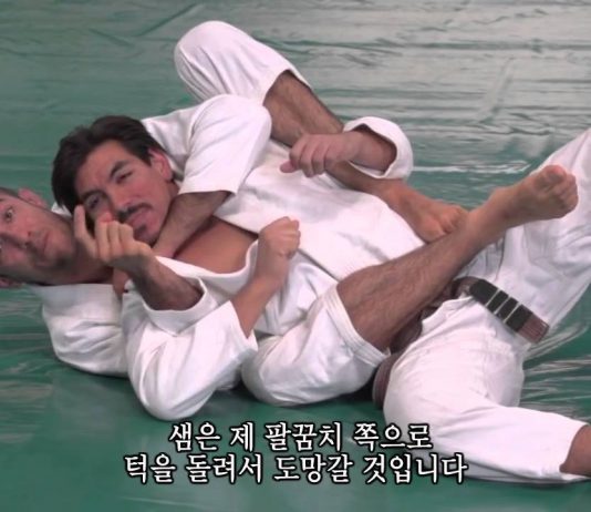 헤너 그레이시 슈퍼 세미나 소개 – 백마운트 Triple Threat