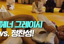 헤너 그레이시 vs 정찬성