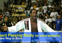 레전드 떼레레의 가드패스 파헤치기 by BJJ Scout(한글설명)