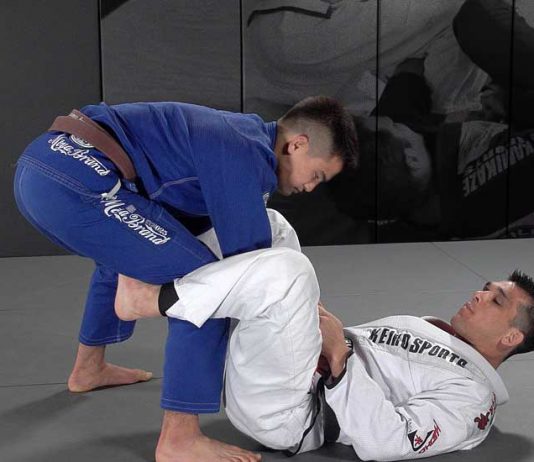 데라히바가드(The Delariva Guard)