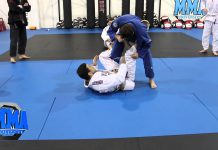 웜가드에서 오모플라다, 트라이앵글, 암바, 백잡기