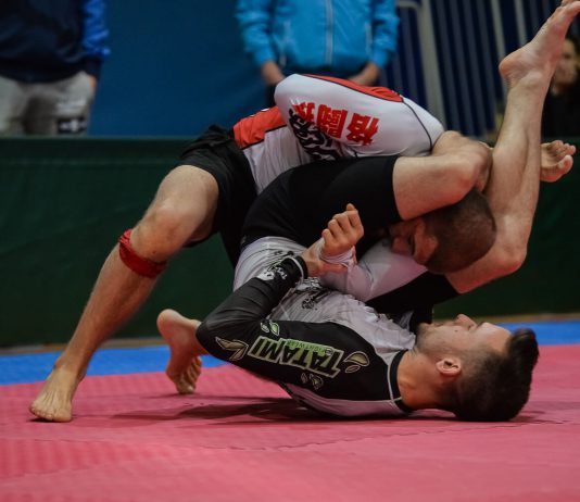 트라이앵글 초크(Triangle Choke)