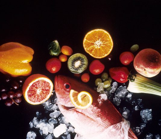 다쳤나요? 부상당한 주짓수인을 위한 메뉴!