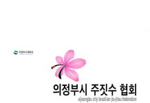 제1회 의정부시 브라질리안 주짓수 대회