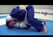 호저 그레이시가 알려주는 길로틴 쵸크 탈출!