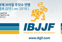 IBJJF(국제브라질주짓수연맹) 룰북 요약 2편.