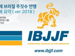 IBJJF(국제브라질주짓수연맹) 룰북 요약 2편.
