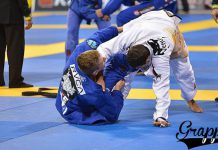 끈질기고 단단한 웜가드 부수기 기술모음!!