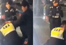 경찰을 때리는 조선족을 본 여경의 반응.. 경찰에게 필요한 무술 "주짓수"