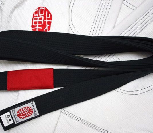 국내 주짓수 블랙벨트 현황