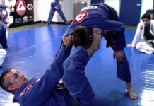 스파이더가드에서 오모플라타