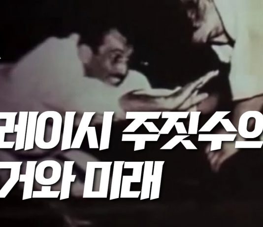 그레이시 주짓수의 역사