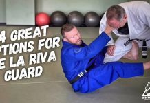 효과적인 데라히바가드 4가지 기본옵션