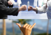 주짓수 인사법 샤카와 콤바치