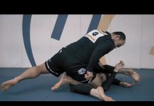 가드 패스 VS 인버티드 가드