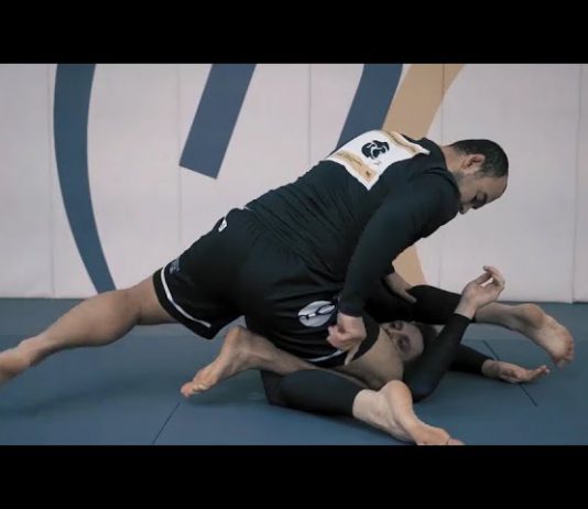 가드 패스 VS 인버티드 가드