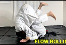 주짓수 블랙벨트 VS 6살 그레이벨트 롤링!