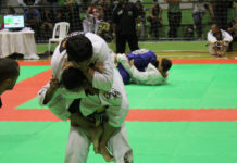 The Mata Leão / 리어 네이키드 초크(RNC)