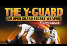 경량급 세계 챔피언 펠리페 코스타의 오픈가드 시크릿 무기 Y-가드 오픈