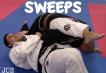 클로즈가드 스윕의 꽃 플라워 스윕과 오모플라타 스윕