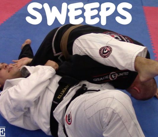 클로즈가드 스윕의 꽃 플라워 스윕과 오모플라타 스윕