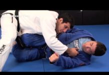 니쉴드를 압박형 가드패스 후 베이스볼 초크로 마무리!