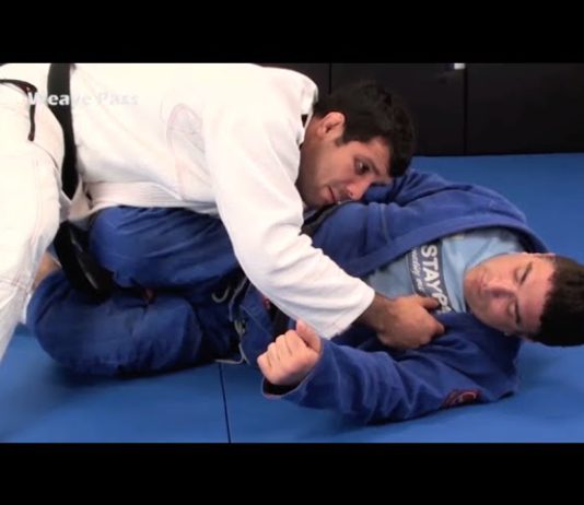 니쉴드를 압박형 가드패스 후 베이스볼 초크로 마무리!