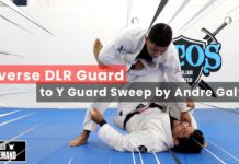 리버스 데라히바 가드에서 Y가드 스윕하는 방법