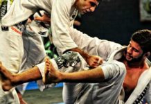 토레안도 가드패스(Toreando or Toreada Guard Pass)