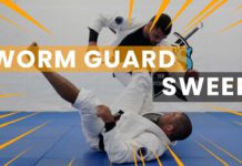 안드레 갈벙이 알려주는 ‘웜가드(Worm Guard)’를 배워보자!