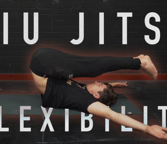 주짓수 수련생을 위한 유연성과 관절 가동성 30분 운동