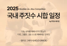 2025 국내 주짓수 시합 일정