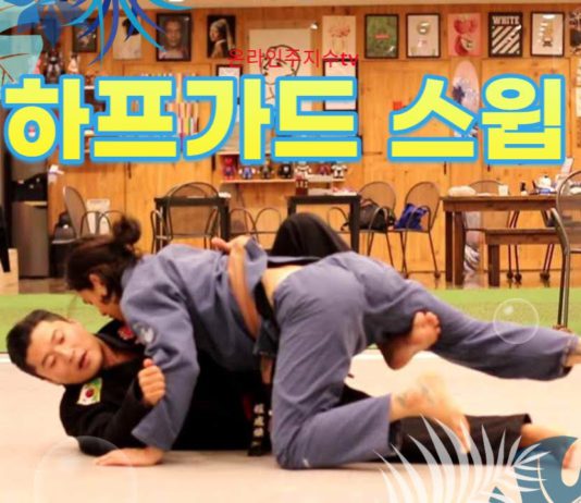 하프가드 스윕을 막는 상대의 힘을 이용하는 스윕