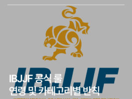 IBJJF 공식 룰연령 및 카테고리별 반칙