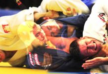 보우 앤 애로우 초크 & 스탠다드 칼라 초크