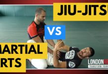 주짓수의 독특한 매력: 다른 무술과의 비교 분석