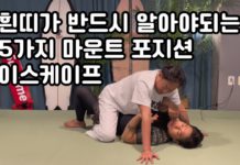 마운트 포지션에서 벗어나는 5가지 효과적인 방법 소개