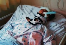 곰플의 주짓수바다 채널 : 주짓수 스파링 사고와 그 교훈