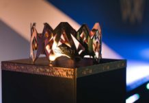 IBJJF 크라운 디비전 확정. 이벤트 두 번째 버전에 대해 알아야 할 모든 것