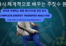 체중과 에너지 이동으로 부상을 예방하고 실력을 향상시키는 원리 분석