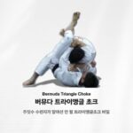 조대연 트라이앵글 초크 DVD 발매 – 당신의 서브미션이 바뀐다! 조대연 트라이앵글 초크 DVD 발매 – 당신의 서브미션이 바뀐다!