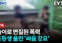 학교가 ‘격투판’이 되어서는 안 된다… 주짓수가 아닌 폭력을 배우는 아이들
