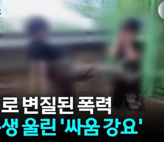 학교가 ‘격투판’이 되어서는 안 된다… 주짓수가 아닌 폭력을 배우는 아이들