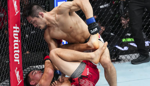 UFC Fight Night: Chovancek v You